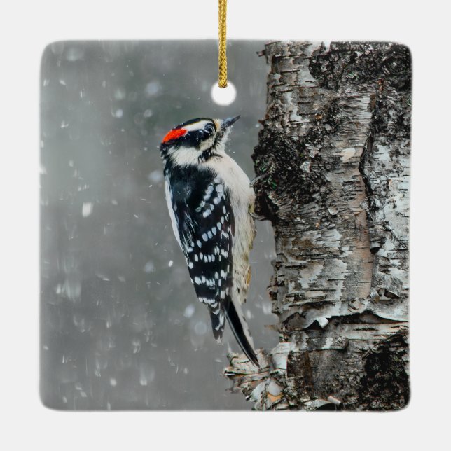 Downy Woodpecker in Snow - Original Foto Keramikornament (Rückseite)