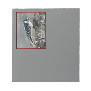 Downy Woodpecker in Snow - Original Foto Notizblock
