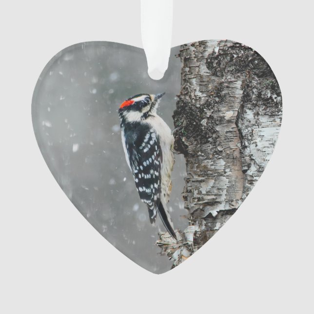 Downy Woodpecker in Snow - Original Foto Ornament (Vorderseite)