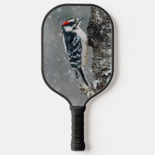 Downy Woodpecker in Snow - Original Foto Pickleball Schläger