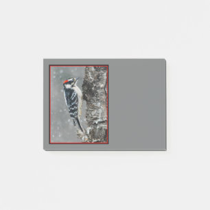 Downy Woodpecker in Snow - Original Foto Post-it Klebezettel