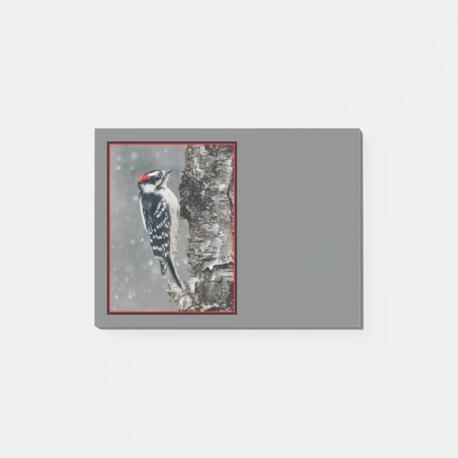 Downy Woodpecker in Snow - Original Foto Post-it Klebezettel (Vorderseite)