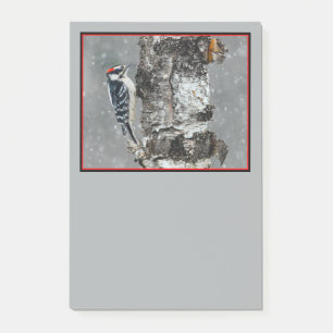 Downy Woodpecker in Snow - Original Foto Post-it Klebezettel