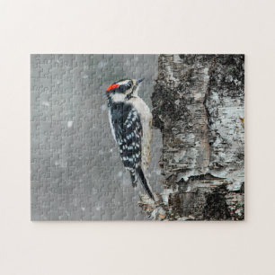 Downy Woodpecker in Snow - Original Foto Puzzle