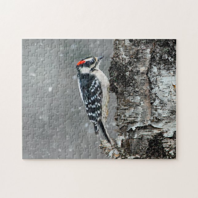Downy Woodpecker in Snow - Original Foto Puzzle (Horizontal)