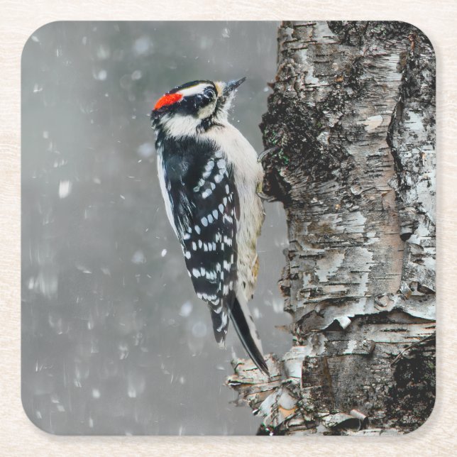 Downy Woodpecker in Snow - Original Foto Rechteckiger Pappuntersetzer (Vorderseite)