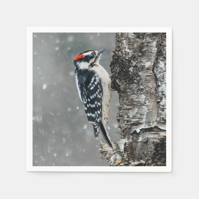 Downy Woodpecker in Snow - Original Foto Serviette (Vorderseite)