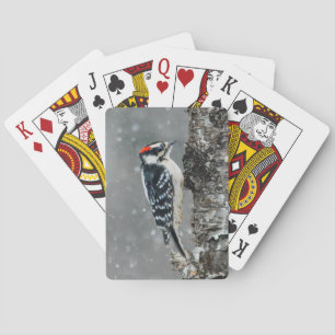 Downy Woodpecker in Snow - Original Foto Spielkarten