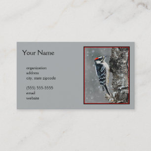 Downy Woodpecker in Snow - Original Foto Visitenkarte