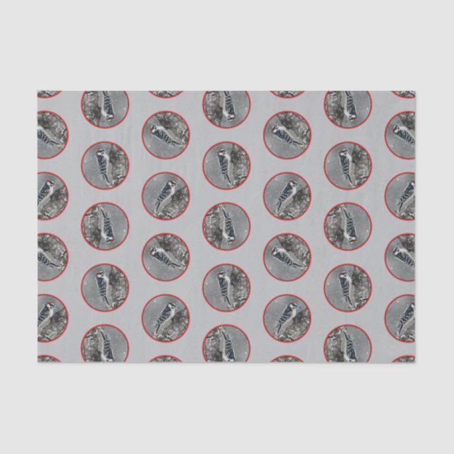 Downy Woodpecker in Winter Original Fotografie Seidenpapier (Vorderseite)