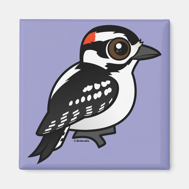 Downy Woodpecker Magnet (Vorne)