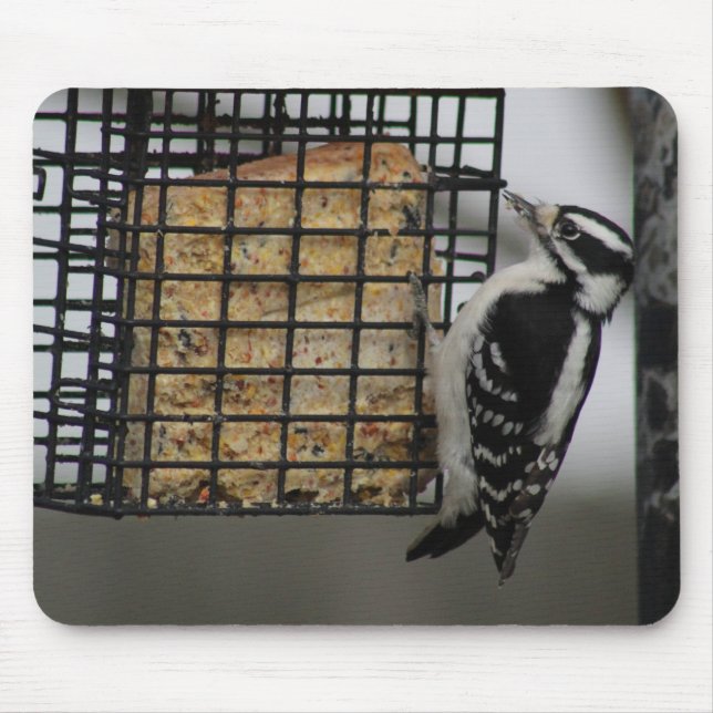 Downy Woodpecker mousepad (Vorne)
