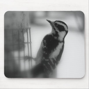 Downy Woodpecker Mousepad
