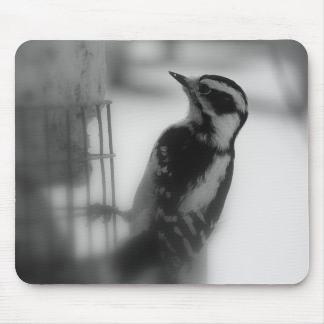 Downy Woodpecker Mousepad (Vorne)