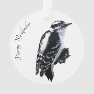 Downy Woodpecker Ornament
