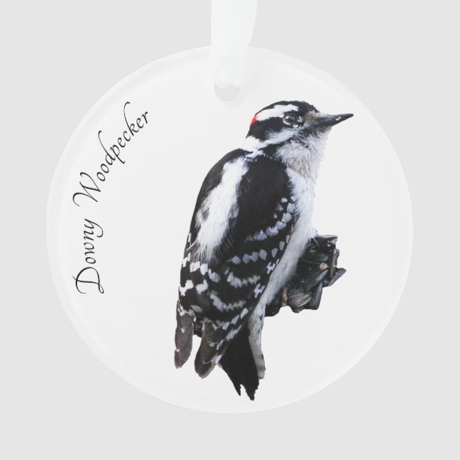 Downy Woodpecker Ornament (Vorderseite)