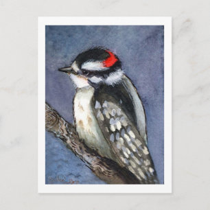 Downy Woodpecker Watercolor Postkarte