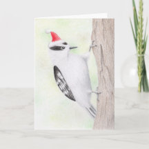 Downy Woodpecker Weihnachtskarte