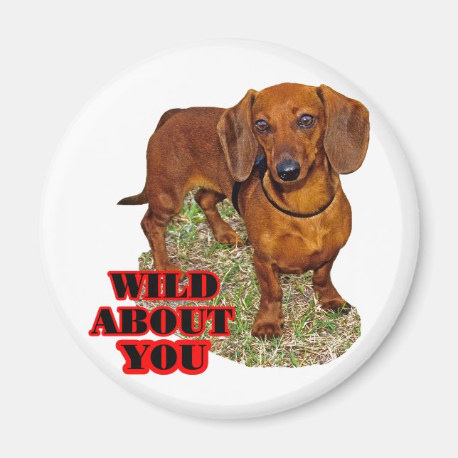 Doxi Lover Magnet (Vorne)