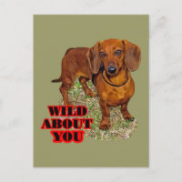 Doxi Lover