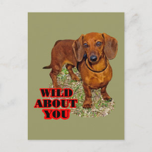 Doxi Lover Postkarte