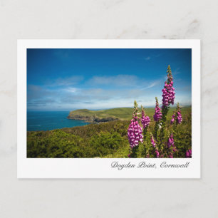 Doyden Point, Cornwall Postcard Postkarte