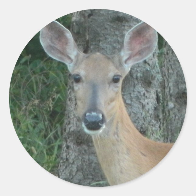 Doyes Beautiful Deer Whitetail Scrapbooking Runder Aufkleber (Vorderseite)