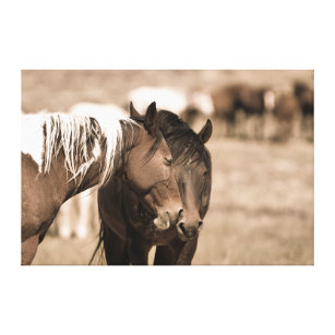 Dozing Onaqui Wilde Pferde Leinwanddruck