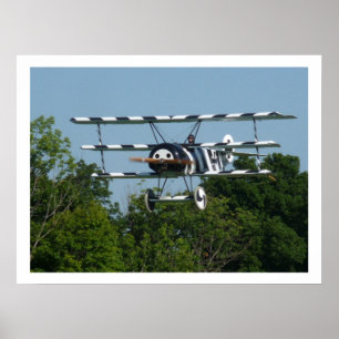 DR1 239/17 am Finale! Poster