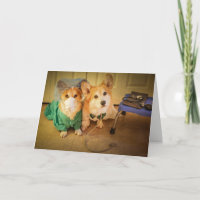 Dr. Corgi und Krankenschwester fühlen sich bald