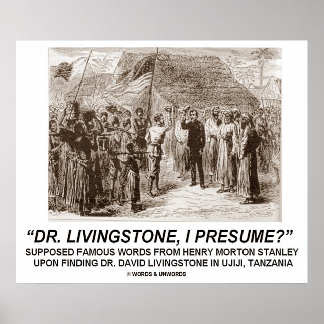 Dr. Livingstone, ich nehme an? Poster (Vorne)