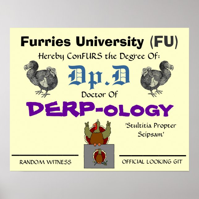Dr. of DERP-ology 2 Poster (Vorne)