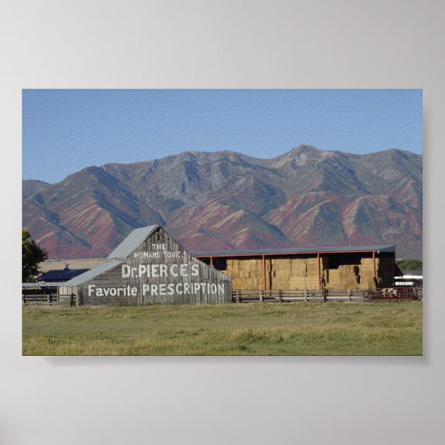 Dr. Pierce's Barn Poster (Vorne)