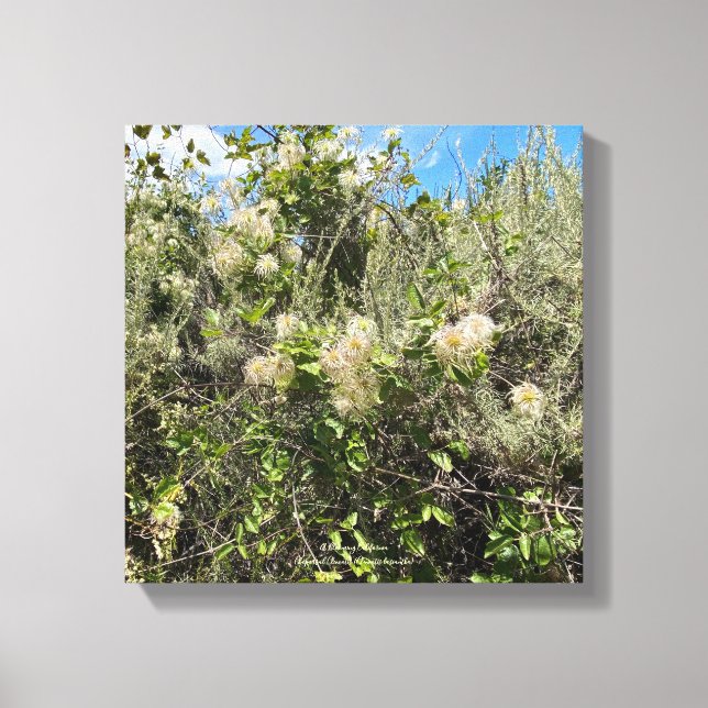 Dr. Seuss Blume Leinwanddruck (Vorderseite)