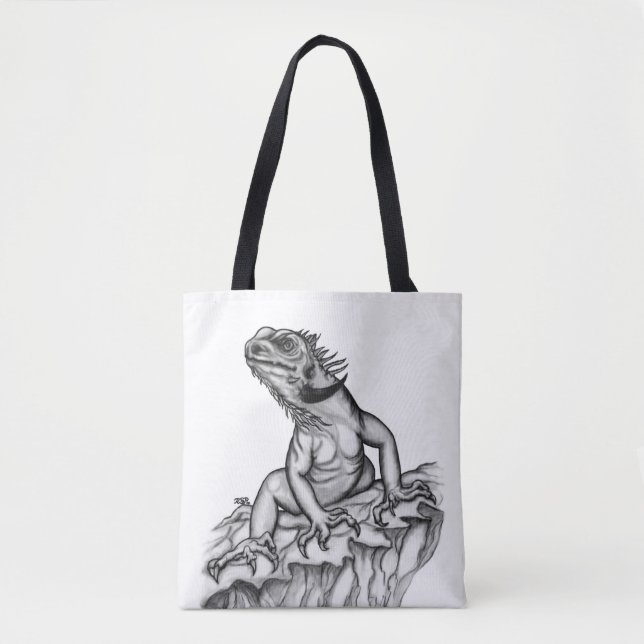 Drache auf dem Felsen (Vorderseite)