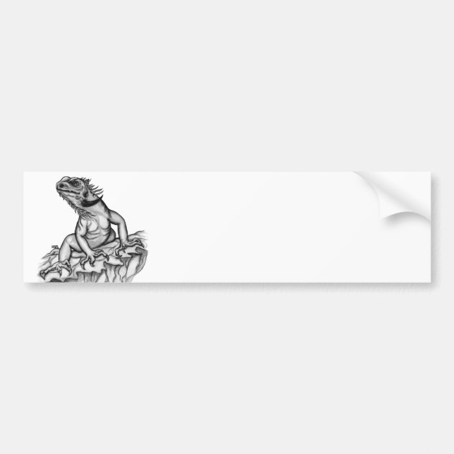 Drache auf dem Felsen Autoaufkleber (Vorne)
