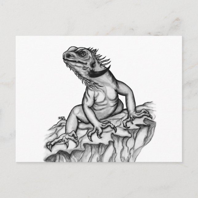 Drache auf dem Felsen Postkarte (Vorderseite)