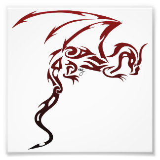 Drache drucken fotodruck