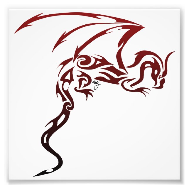 Drache drucken fotodruck (Vorne)
