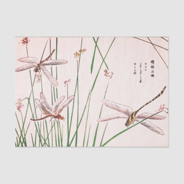 DRACHE-FLIEGE MIT GRAS Seidenpapier (Vorderseite)