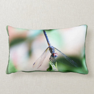 Drache-Fliegen-dekoratives Kissen
