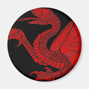 Drache-Magnet Magnet