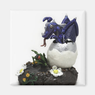 Drache mit blauem Brut Magnet