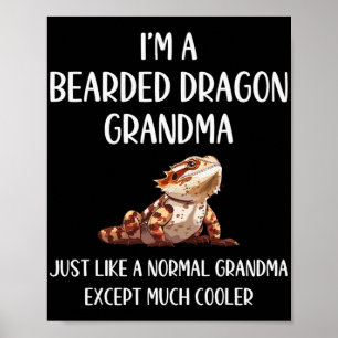Drache Oma Definition Tiere Liebhaber Muttertag Poster