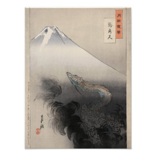 Drache steigt in den Himmel Fotodruck