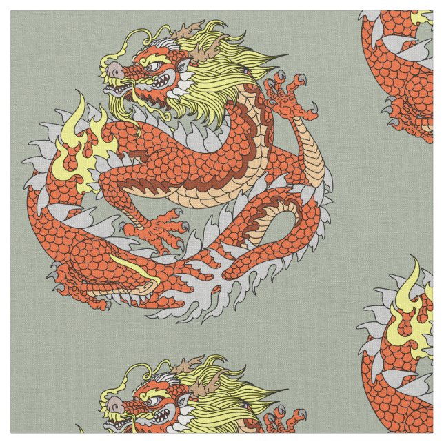 Drache Stoff (Nahaufnahme)
