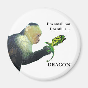 Drache und Affe Magnet