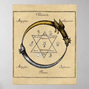 Drache und Schlange Ouroboros Mandala Poster