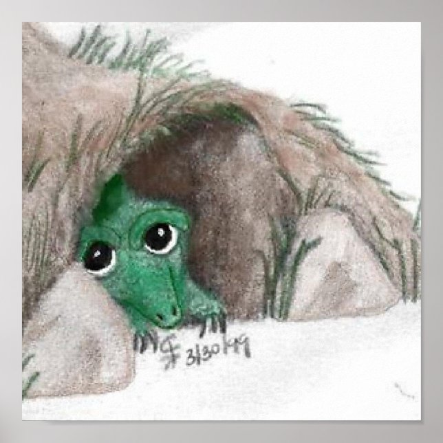 Drache verbergen poster (Vorne)