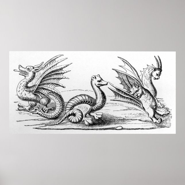 Drachen Poster (Vorne)